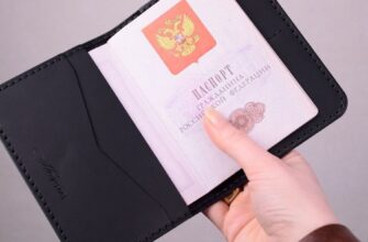 vykrojka koshelka pod dokumenty i karty b07efdf.jpg
